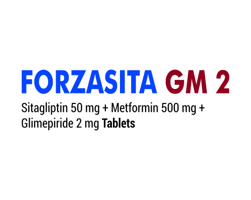 FORZASITA GM 2